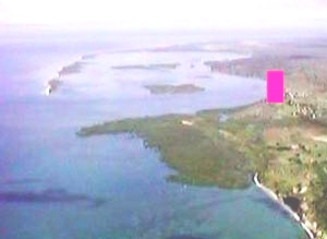 Der geplante Hafen (rot) gegenüber der Lazy Lagoon. Vorne dunkelgrün: Der Mangrovenwald