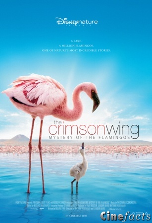 Filmposter