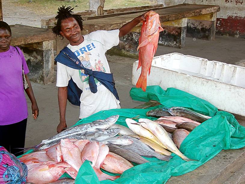 Auf dem Fischmarkt in Bagamoyo