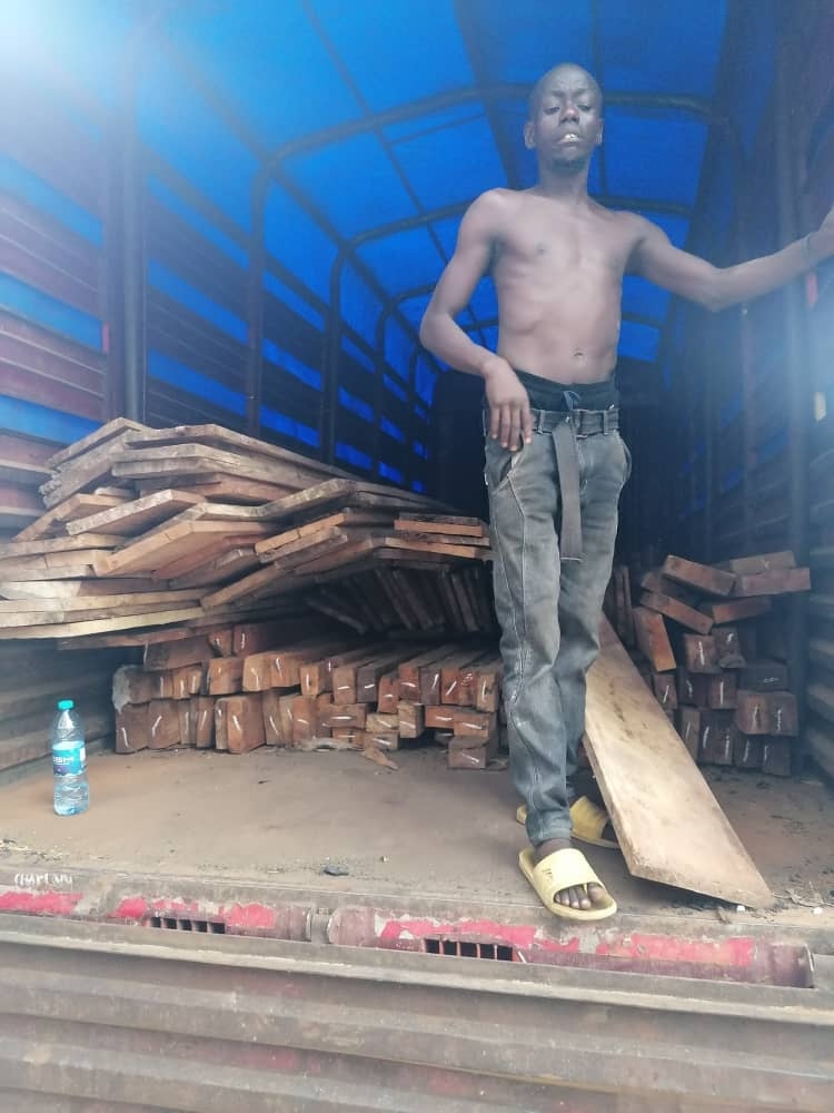 Das Holz wird angeliefert